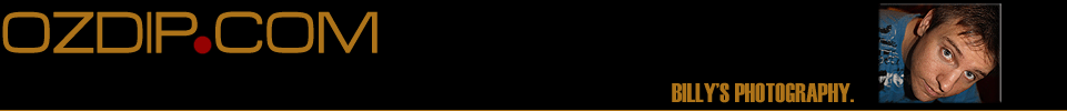 fejlec2.gif
